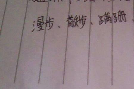 走来走去带俩个走的成语
