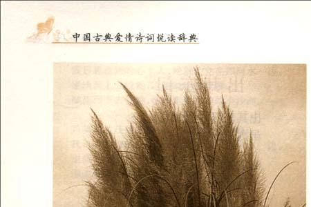 含菁的诗句