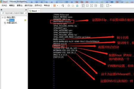 linux虚拟机如何创建目录