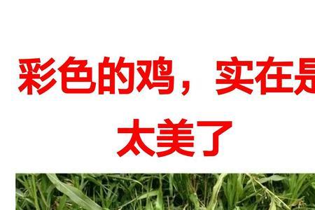 罕见的意思