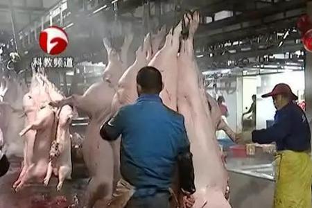 杀猪厂属于什么场所