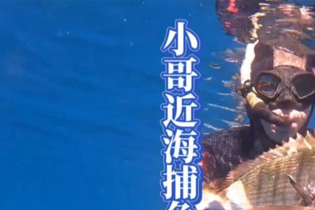 养猪与近海捕鱼哪个累些