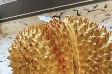 金枕榴莲a5 a6区别
