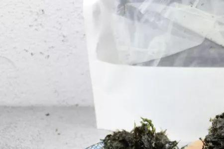 淘宝上的紫菜为什么那么便宜