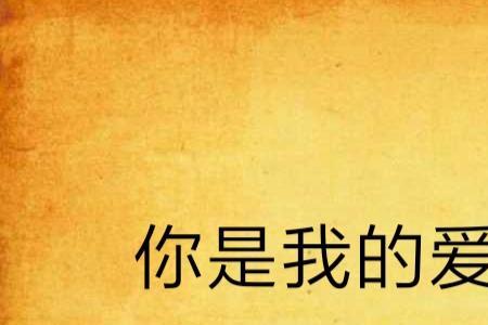我的爱人是国家结局