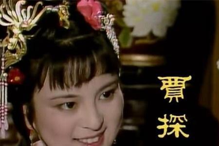 贾府搜府探春发威是哪一集