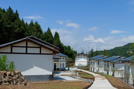 安岳白鹤学名