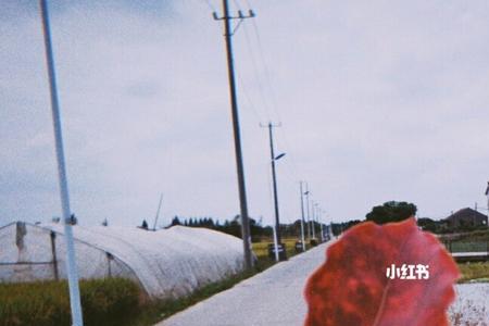 千篇一律的生活的感悟