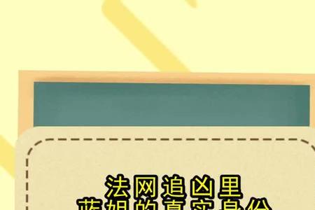 法网追凶柴大少结局