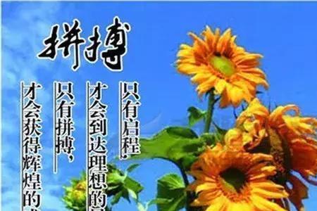 先相信后看见励志语录
