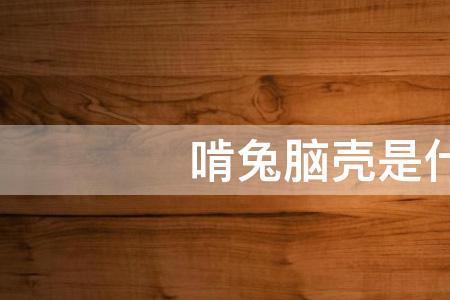 脑壳乔四川方言什么意思