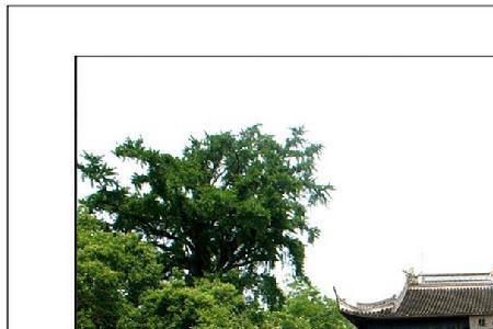 烟雨楼朱珠复活没有