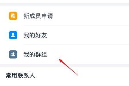 钉钉群哪里举手