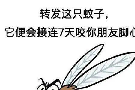 蚊子会觉得痛吗