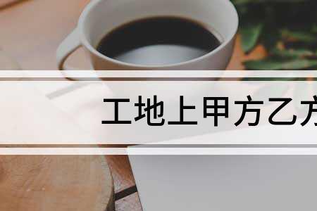 wps甲方乙方怎么左右排列