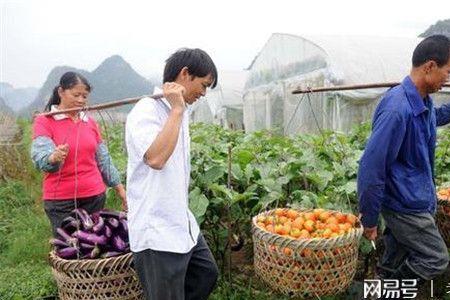 有小不愁大什么意思