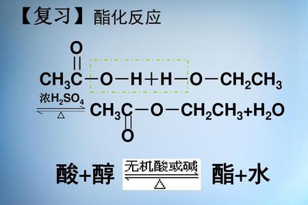 ch3c00h是什么物质