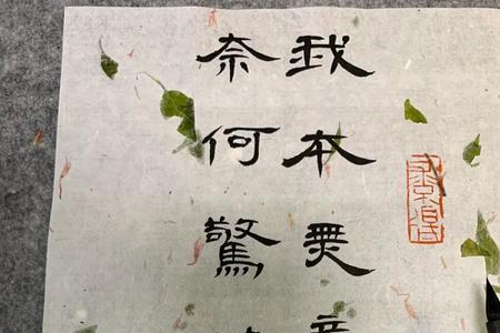 奈何人间一惊鸿是什么意思
