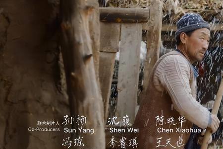 平凡的世界和隐入尘埃哪个好看