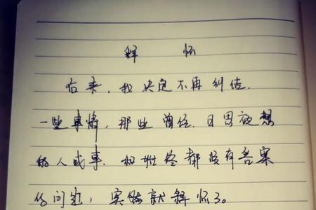 释怀不了我说的什么意思