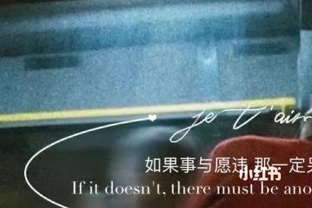 “如果事与愿违是什么意思