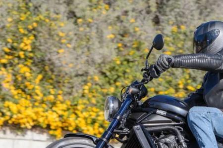 rebel 1100国内售价