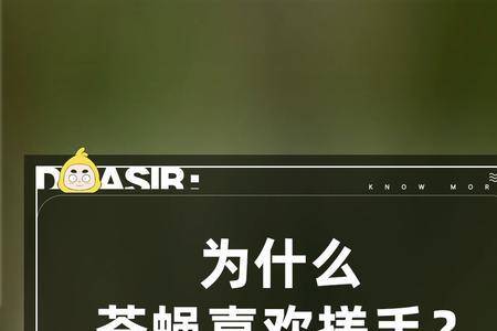 为什么苍蝇喜欢大便呢