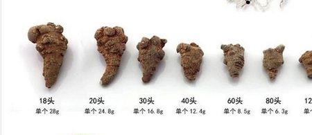 三七木念什么字