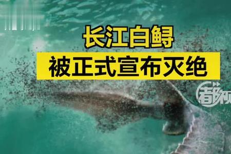 长江白鲟灭绝的原因不包括