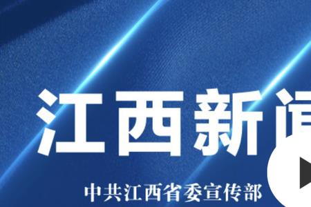 今视频是什么栏目