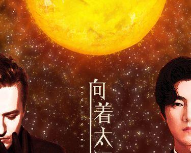 向太阳大结局
