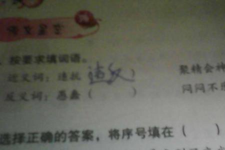 夜猫子的反义词是什么