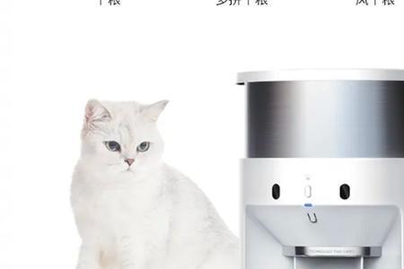 小佩喂食器指示灯一直闪