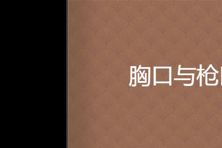 什么的枪口填合适词语