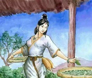 养蚕卖给谁
