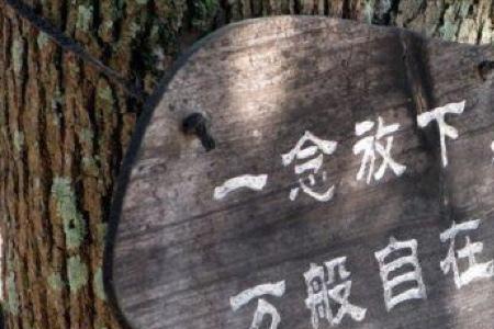 拿得起放得下的人是什么样的人