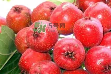 秋子果与海棠果区别