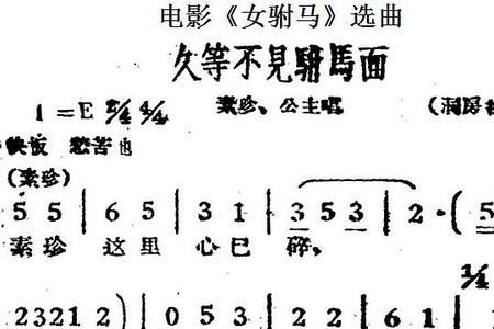 女驸马的歌词意思