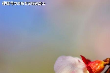 事业步步高升后面一句