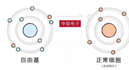 什么是氧化说