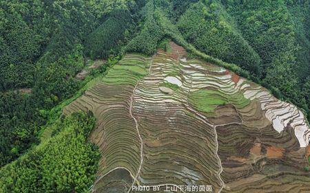 山底下一亩田打一字