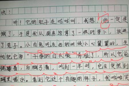 一年级仿写我的动物朋友