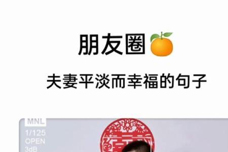 夫妻平淡而幸福的诗句