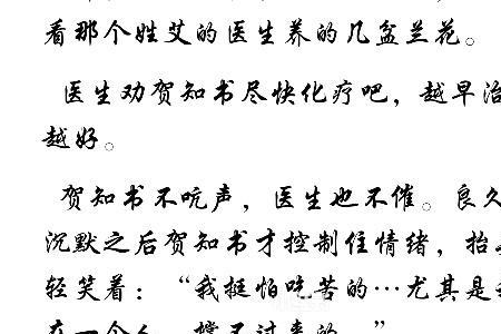 爱而不得的那十年小说he还是be