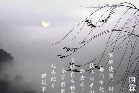 柳永的词用诗句形容