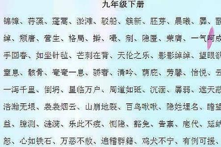 一片是形容词吗