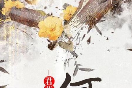 若有来生不负相思什么意思