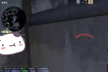 csgo直播道哥什么水平