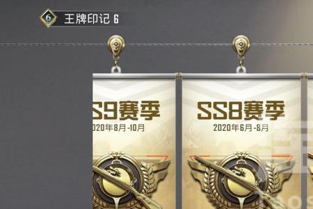 和平精英王牌6星什么水平