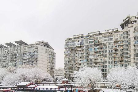 霜重见晴天，瑞雪兆丰年的意思